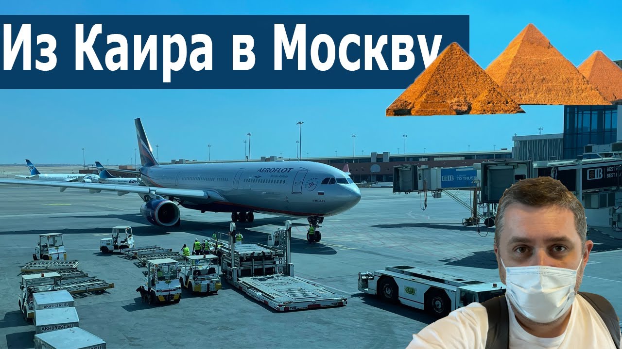 Обзор полета на A330-300 из Каира в Москву. Аэрофлот. Flight from Cairo to Moscow on Aeroflot