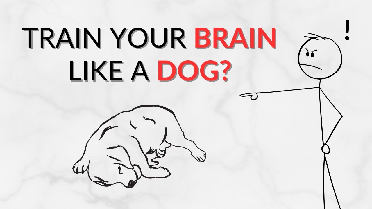 Train Your Brain, Or It Will Drag You！