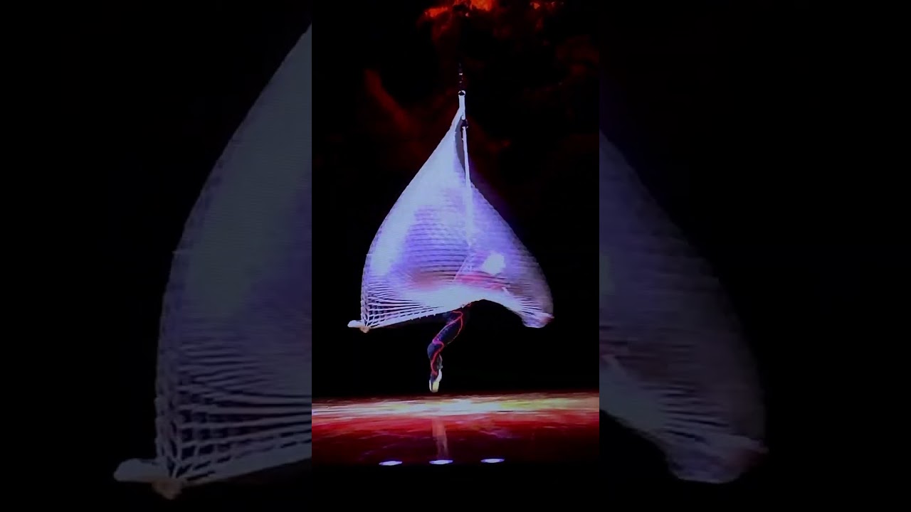 Aerial Net - Cirque Du Soleil, show “OVO” Alexey Ishmaev
