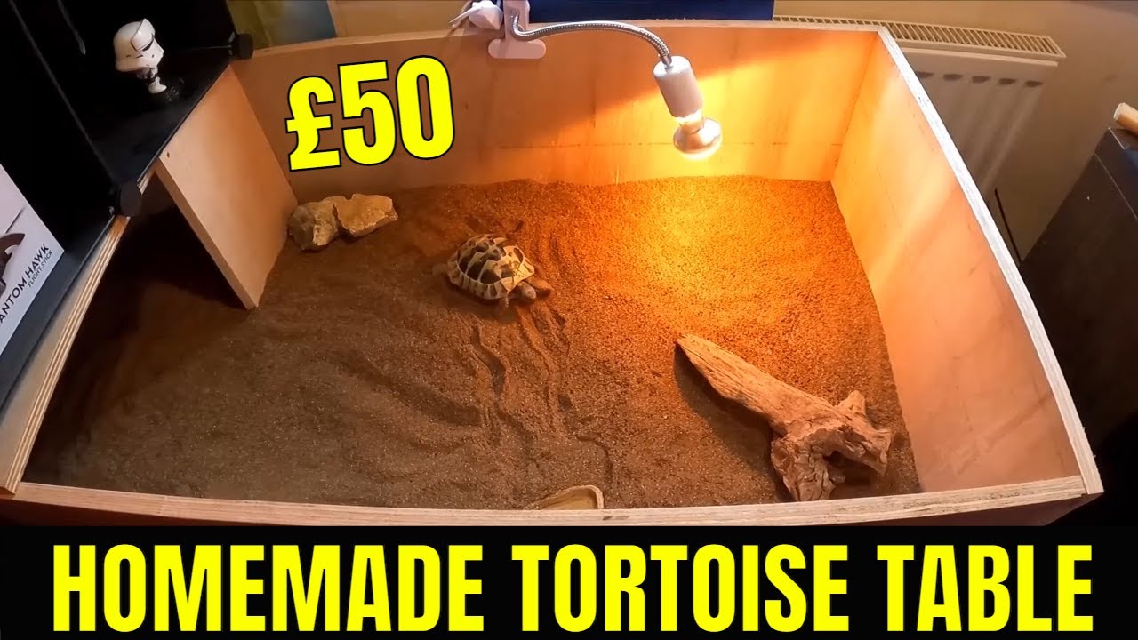 Cheap Homemade Tortoise Table £50 (IT'S MASSIVE)