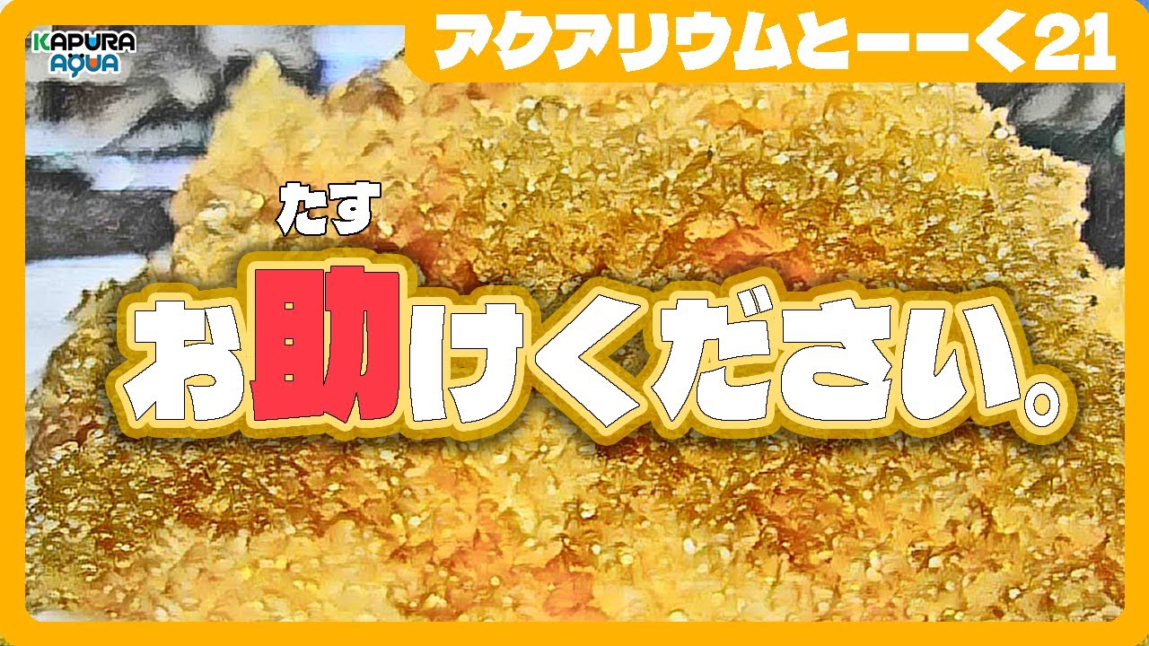 軟水化のリスクを教えてください【アクアリウム】熱帯魚 ペット 水質