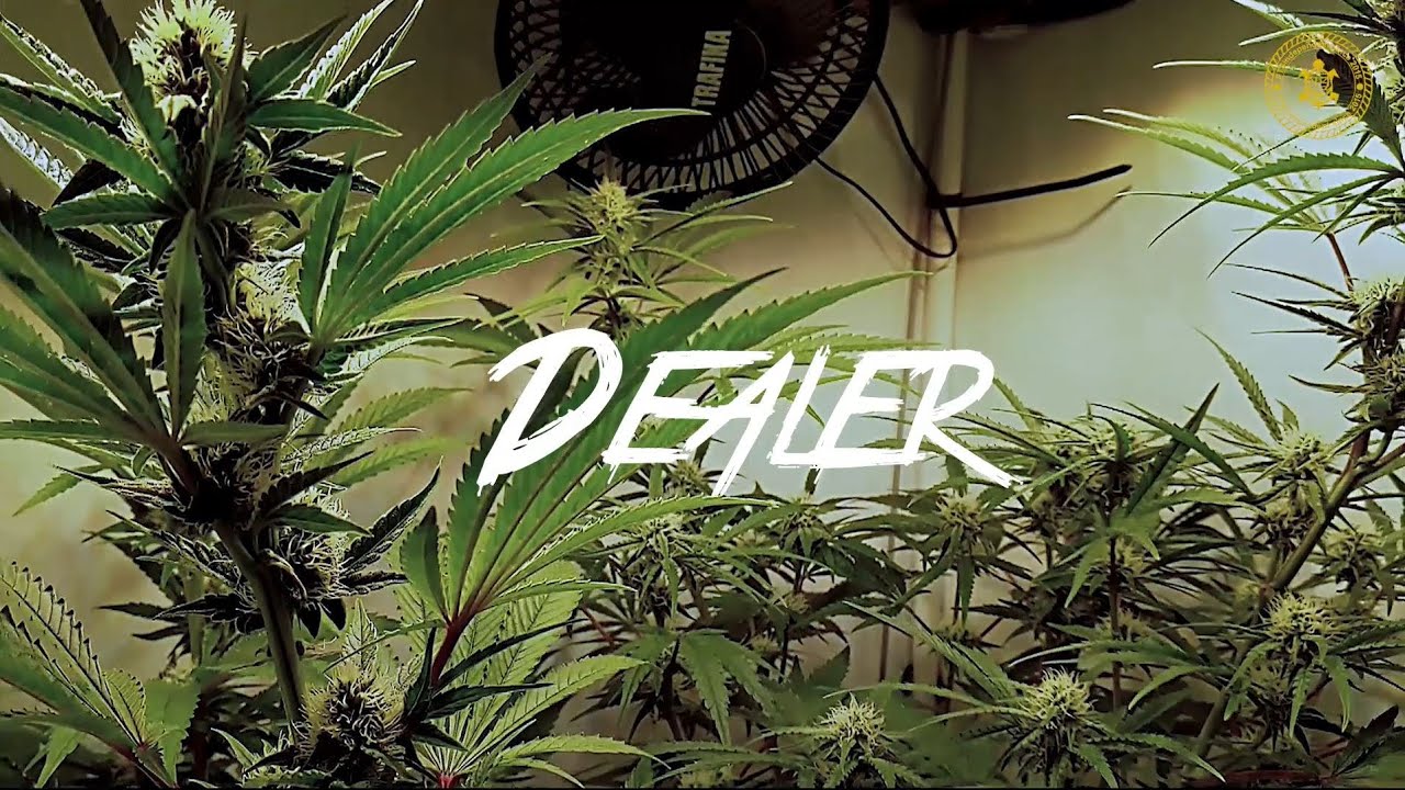 dux - Dealer feat. Trizzy (Beat by Riddick X Beats/ Mix & Master by Trizzy)