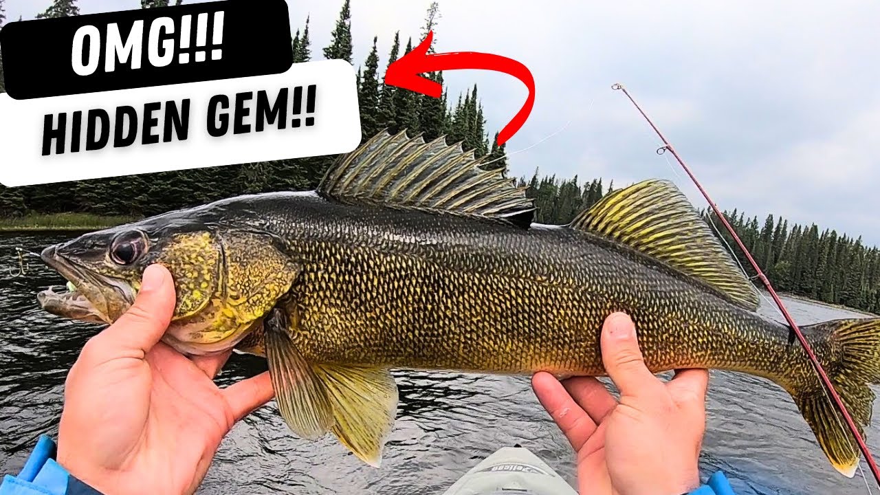 Duck Mountains | Manitoba walleye fishing (Secret!)