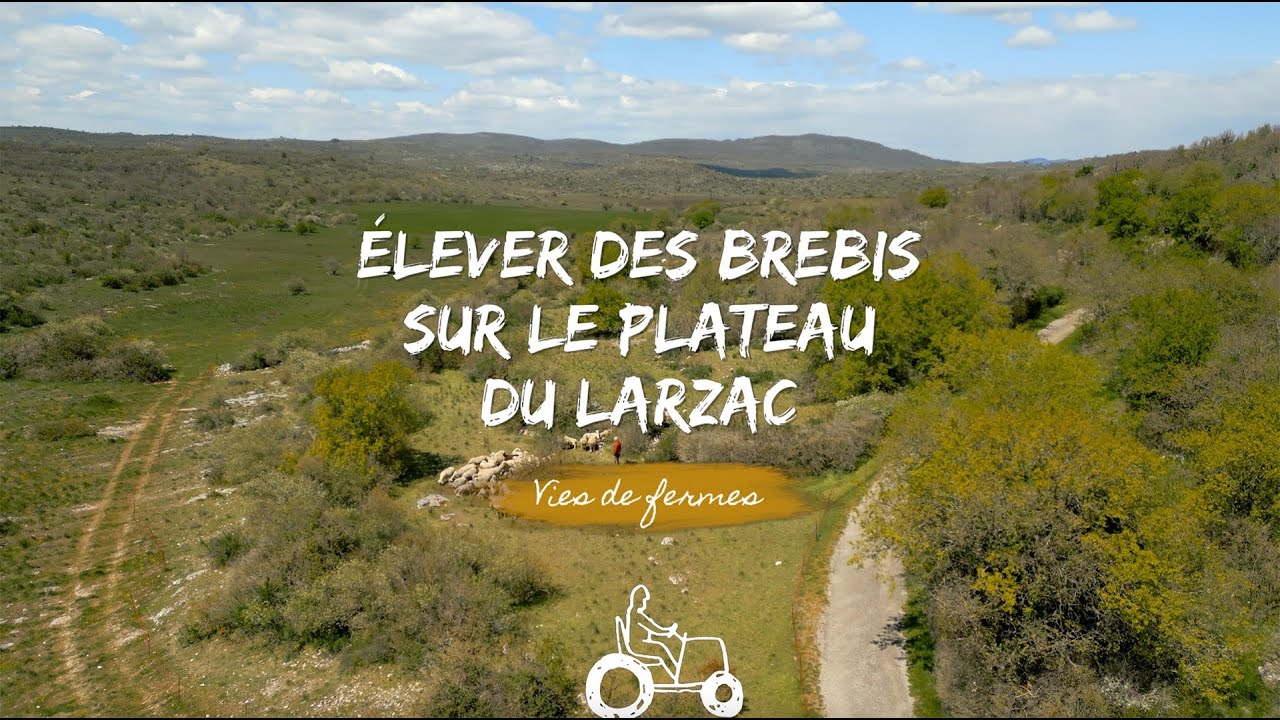 Vies de fermes - Élever des brebis sur le plateau du Larzac