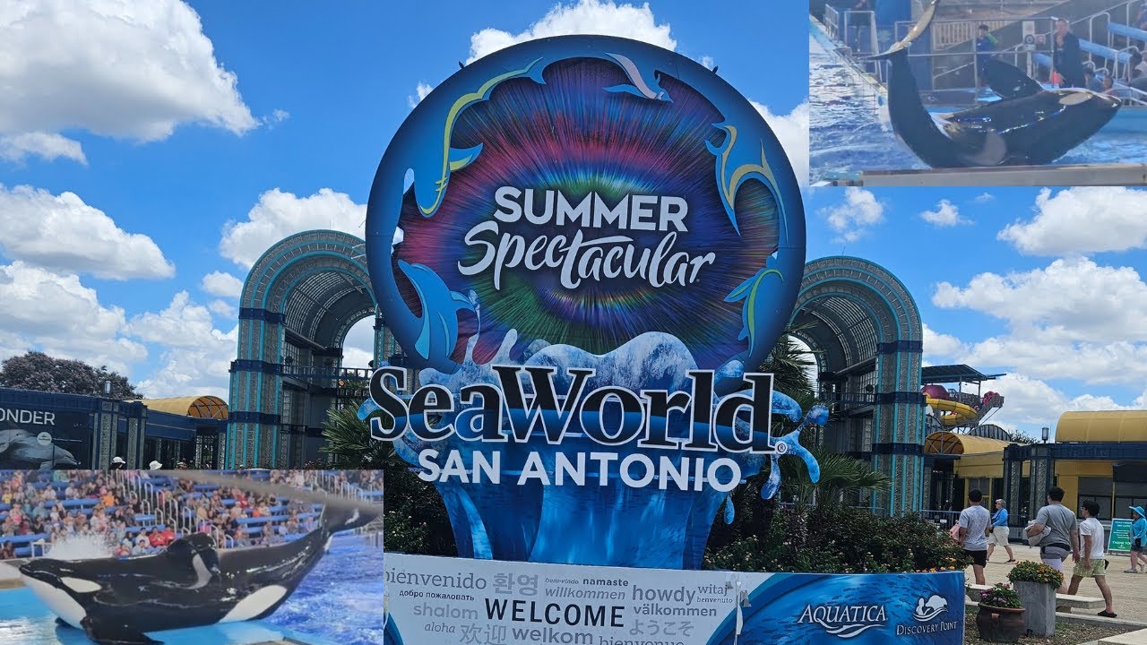 INSANE Orca / the killer whale Show at SeaWorld San Antonio TX – The Power of the Ocean Up Close!