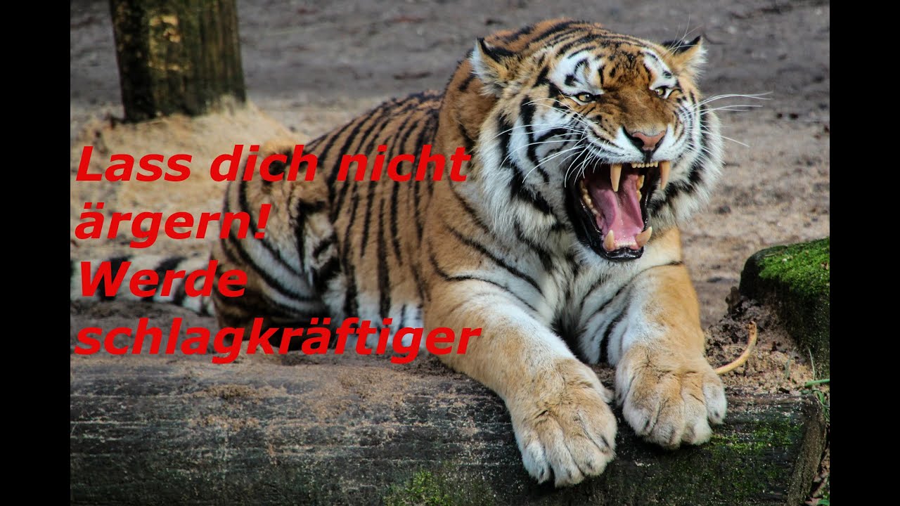 Mit Provokationen richtig umgehen schlagfertiger werden