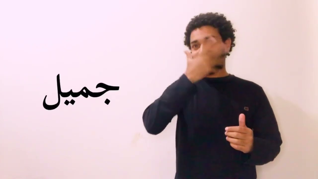 الغة الاشارة_الأفعال والأدوات والصفات جزء 2