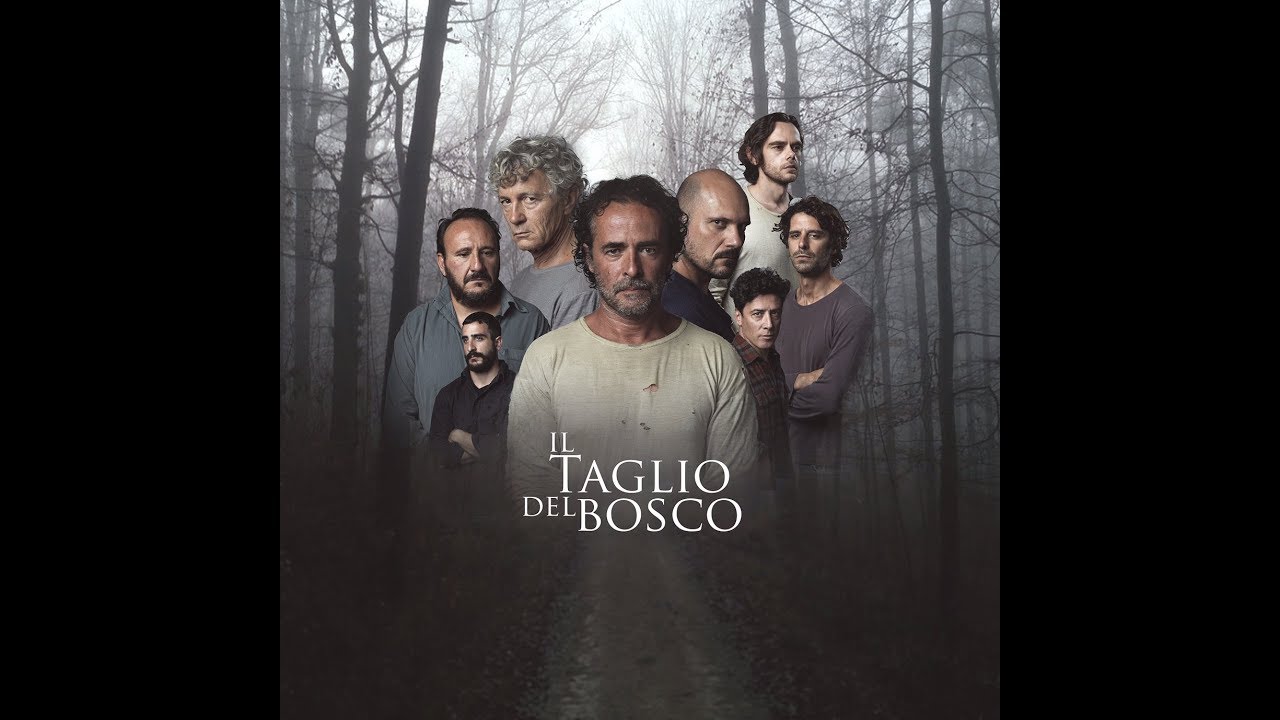 IL TAGLIO DEL BOSCO