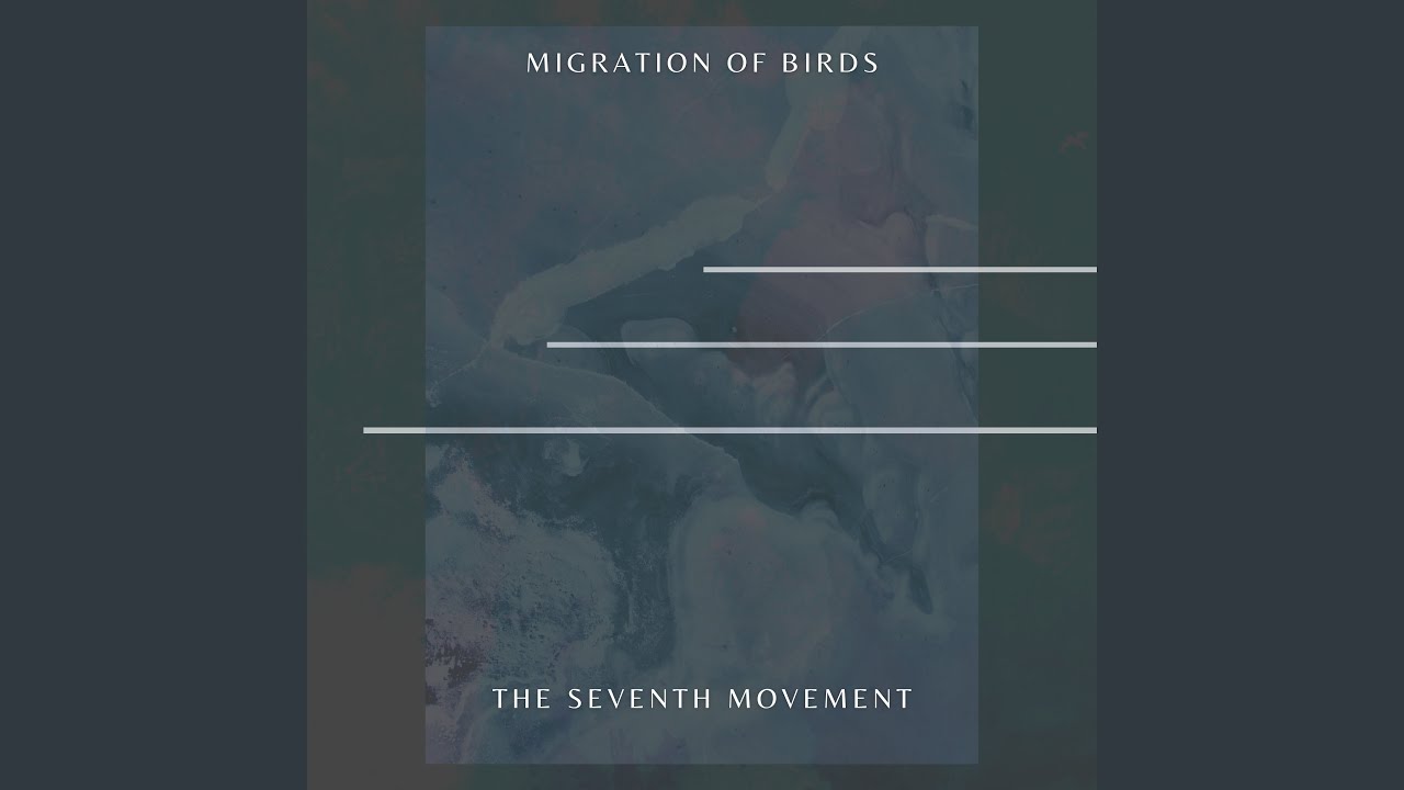 Migration Of Birds