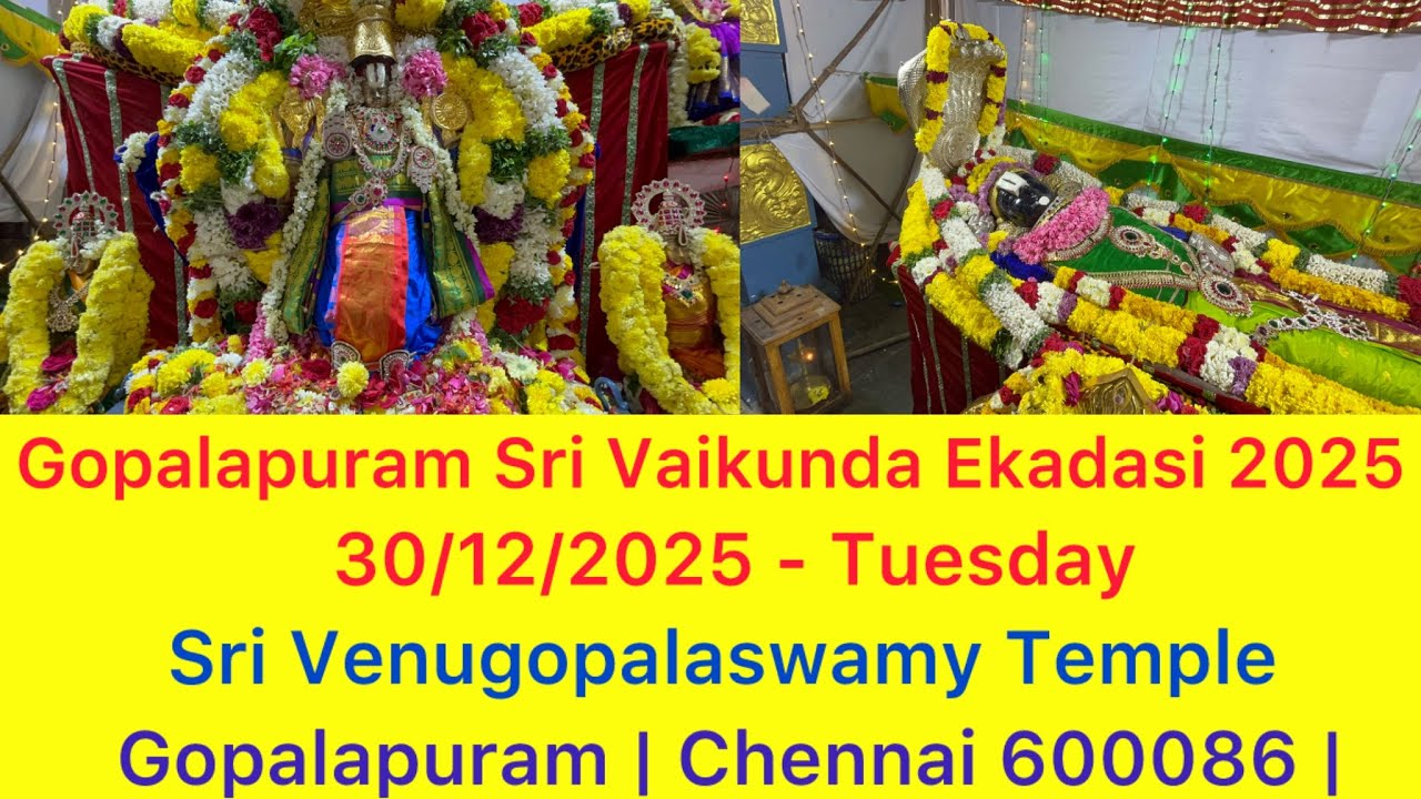 கோபாலபுரம் ஸ்ரீ வைகுண்ட ஏகாதசி | 30/12/2025 | ஸ்வர்க வாசல் திறப்பு | ஸ்ரீ வேணுகோபாலசுவாமி கோவில் | 