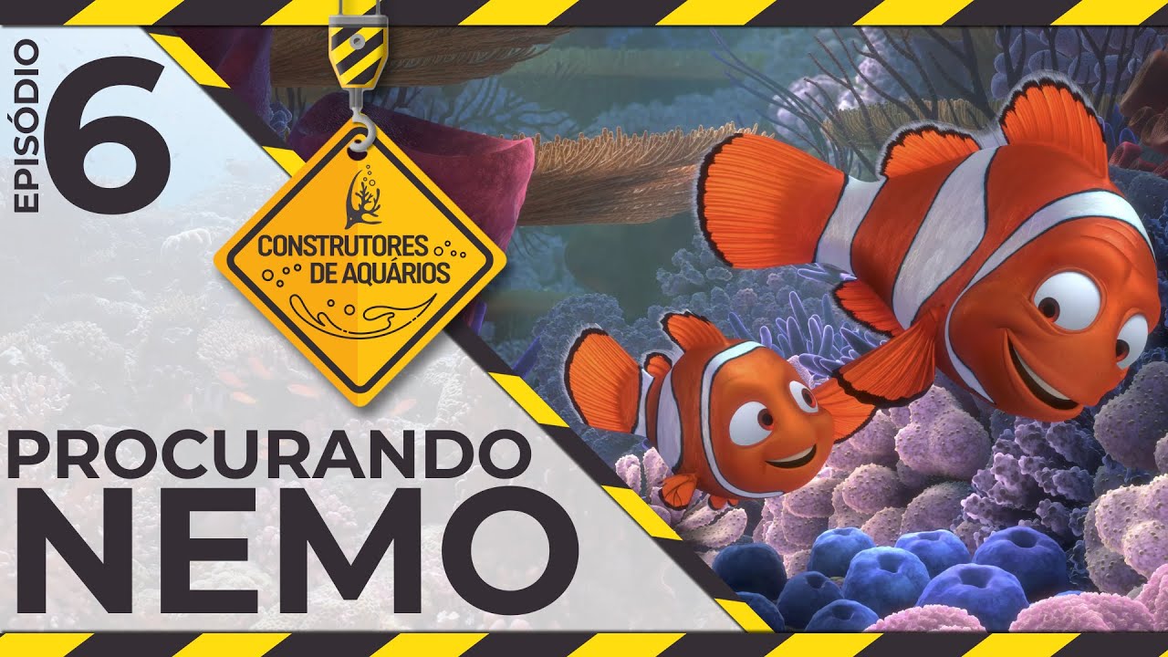 PROCURANDO NEMO