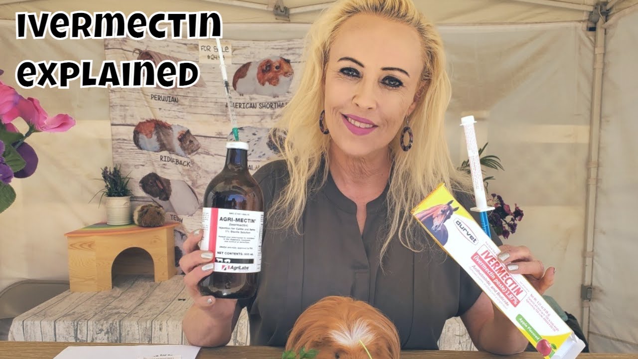 Ивермектин от клещей, вшей и внутренних паразитов у морских свинок