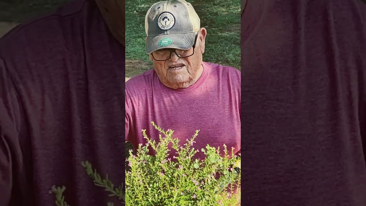 Sus meros moles de mi pap&aacute; andar afuera con las plantas 🪴