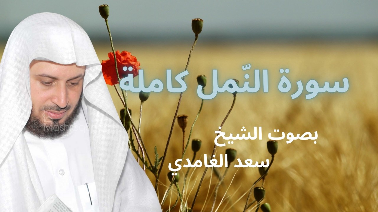 سورة النّمل كاملة بصوت سعد الغامدي