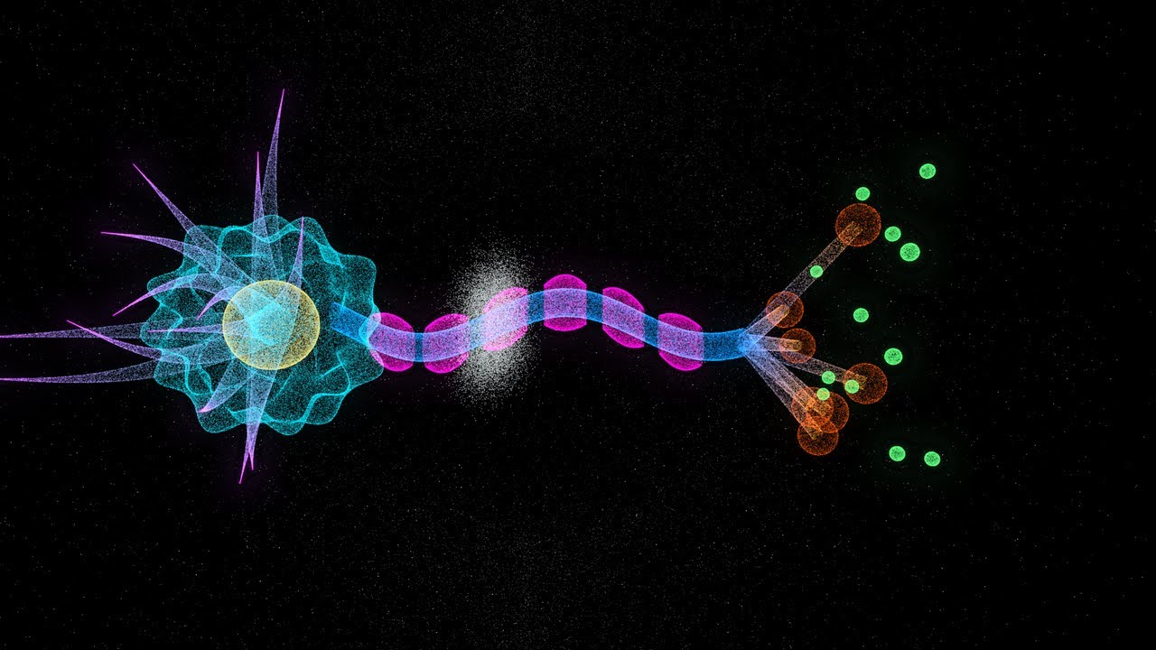 Il Ballo dei Neuroni: La Sinfonia del Cervello | Renderium 4K