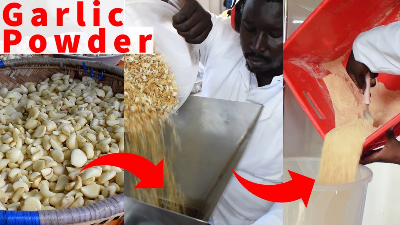 How to Process Fresh Garlic into Garlic Powder, Kenya-Africa