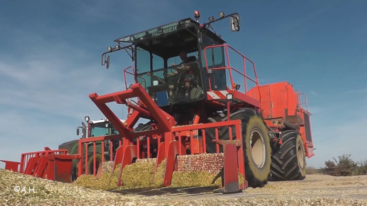 Holmer Terra Dos & Fendt 936 Vario mit 5 Meter Silogabel // Mais Schieben 2019 // Lohnbetrieb Reder