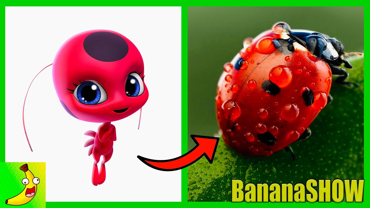 MIRACULOUS LADYBUG  Kwamis In Real Life 🍌 @bananashow6730