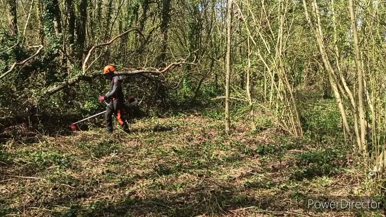 broyage avec la fs 410c et Coupe stihl ms 241, ms 361