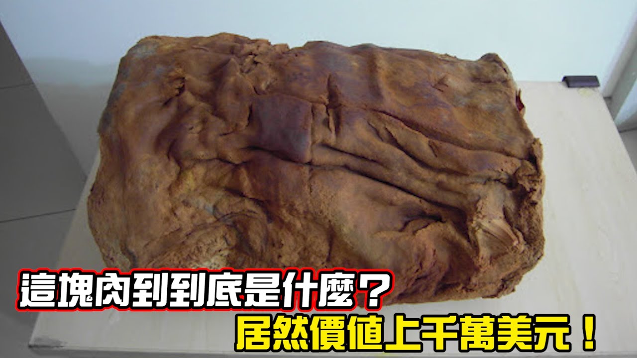什麼是太歲？不是植物，也不是動物的一坨“肉”，為什麼能價值百萬？