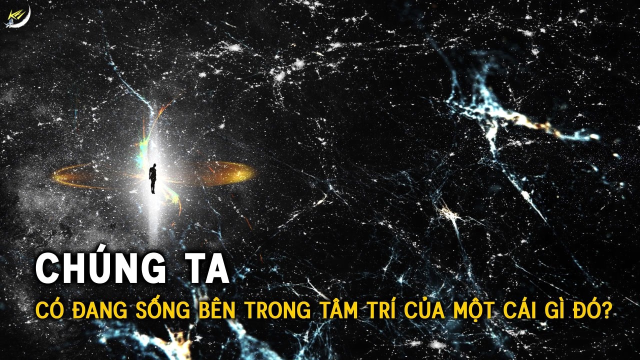 Liệu chúng ta có đang sống bên trong tâm trí của một cái gì đó? | Khoa học và Khám phá