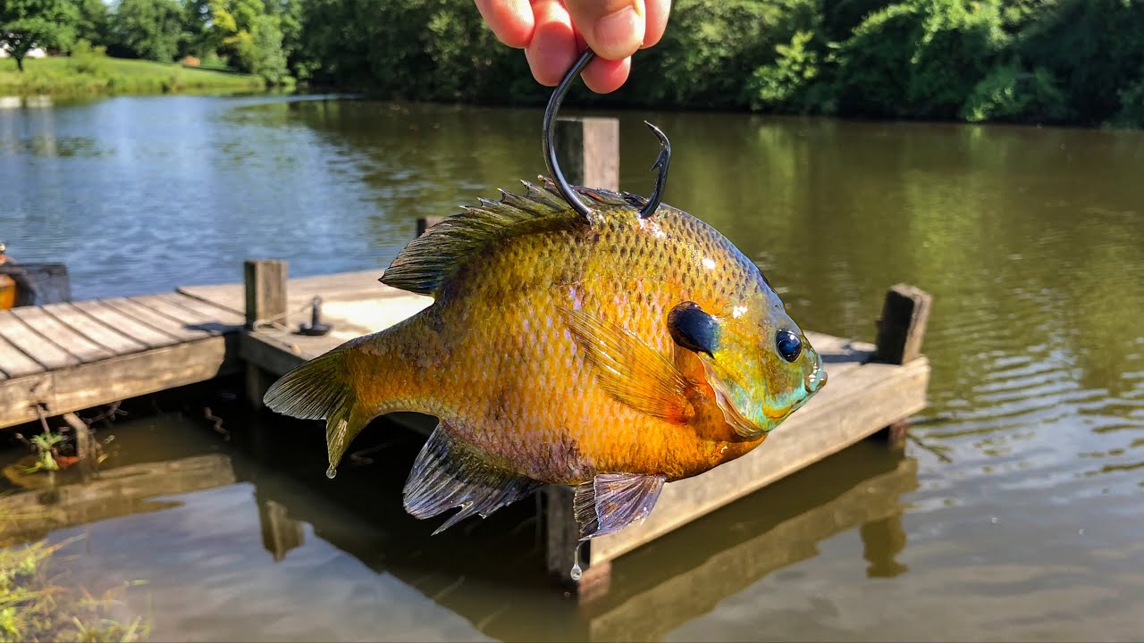 Fishing HUGE Baits for the POND MONSTER!!! (Surprise Catch!)