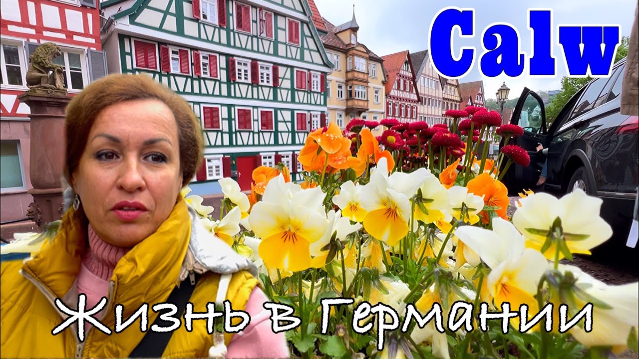 КАЛЬВ CALW / ЖИТЬ С ПРИВЕДЕНИЯМИ