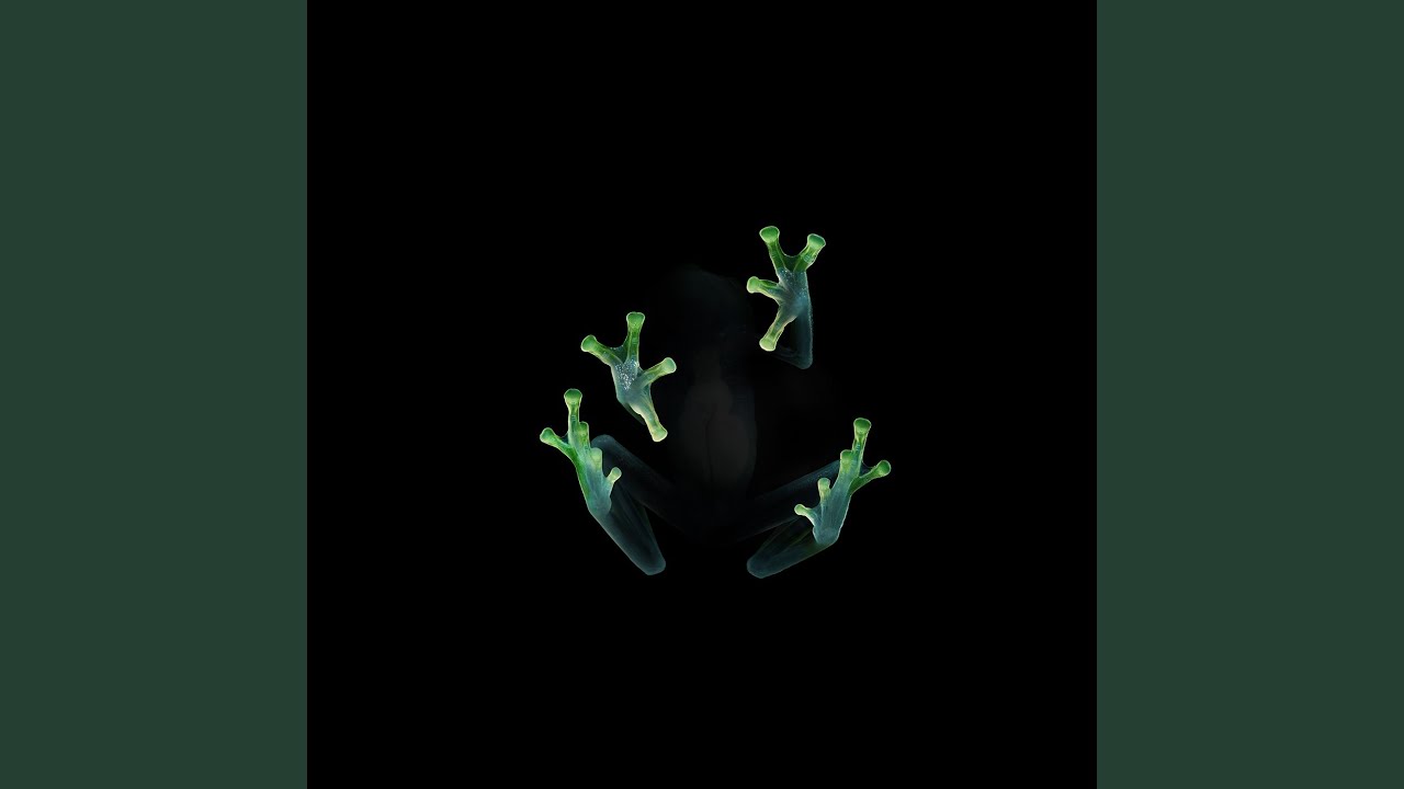 TURN OFF THE LIGHTS