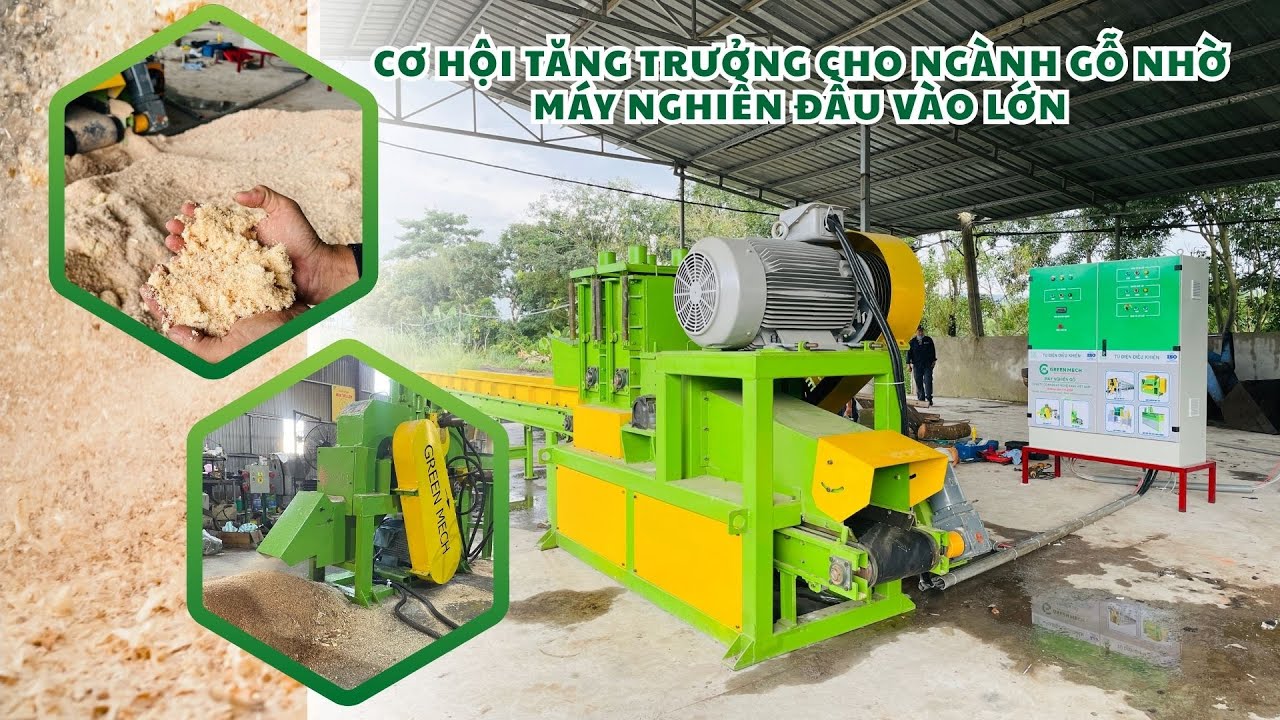 Cơ hội tăng trưởng cho ngành gỗ nhờ máy nghiền đầu vào lớn | MÁY NGHIỀN GỖ GREEN MECH