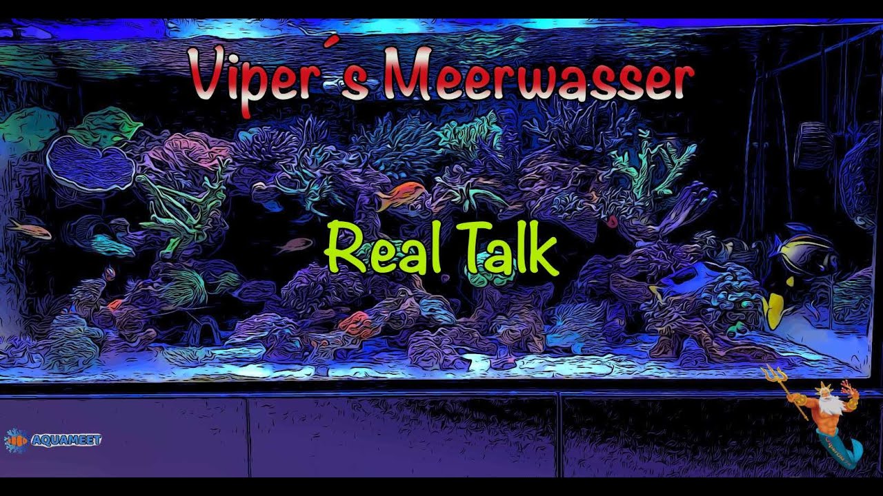 Viper&acute;s Meerwasser Real Talk