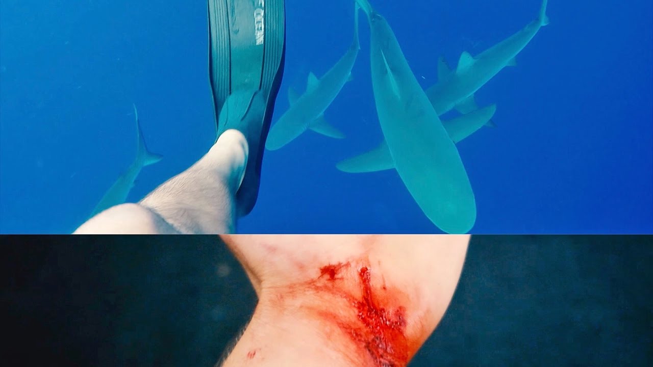 WHAT HAPPENED IN HAWAII!