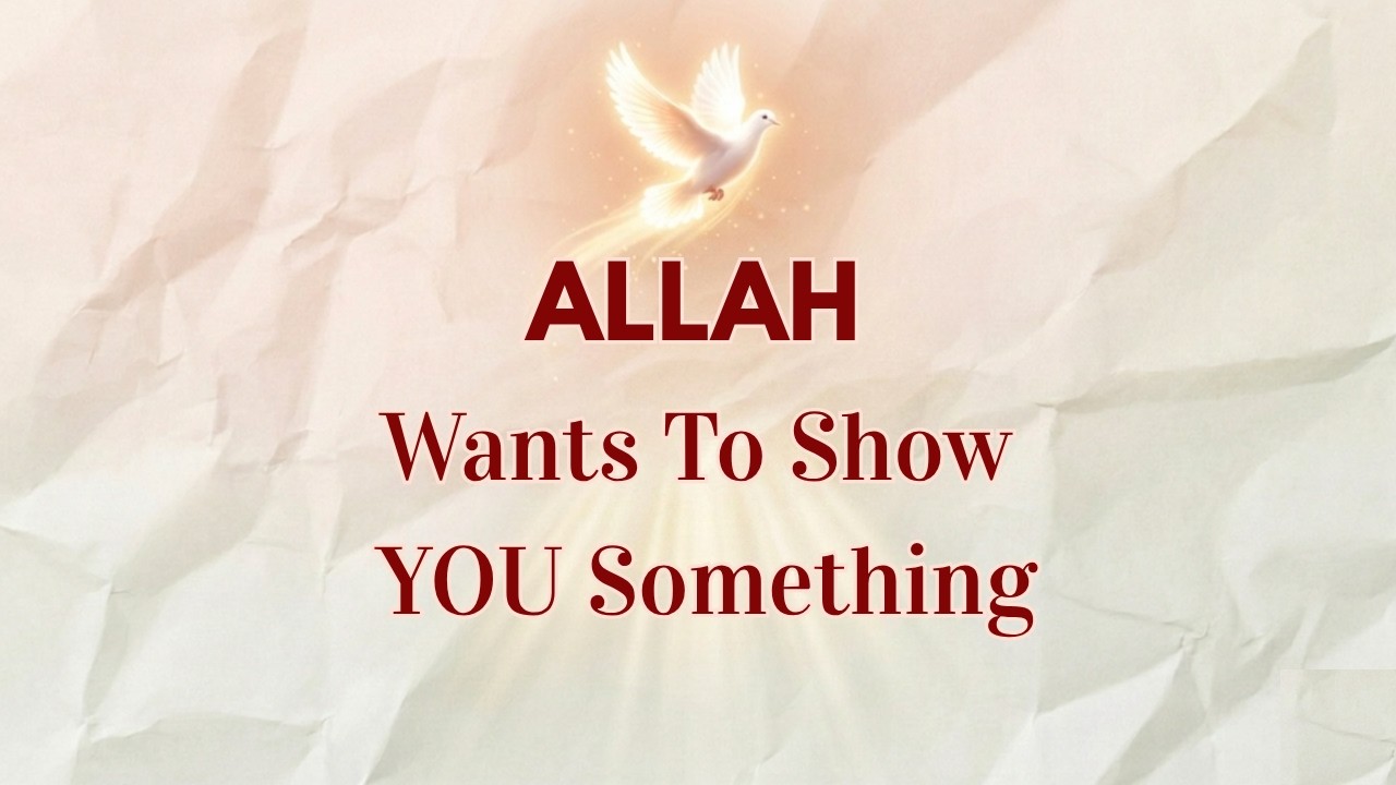 Allah wants you to see this✨