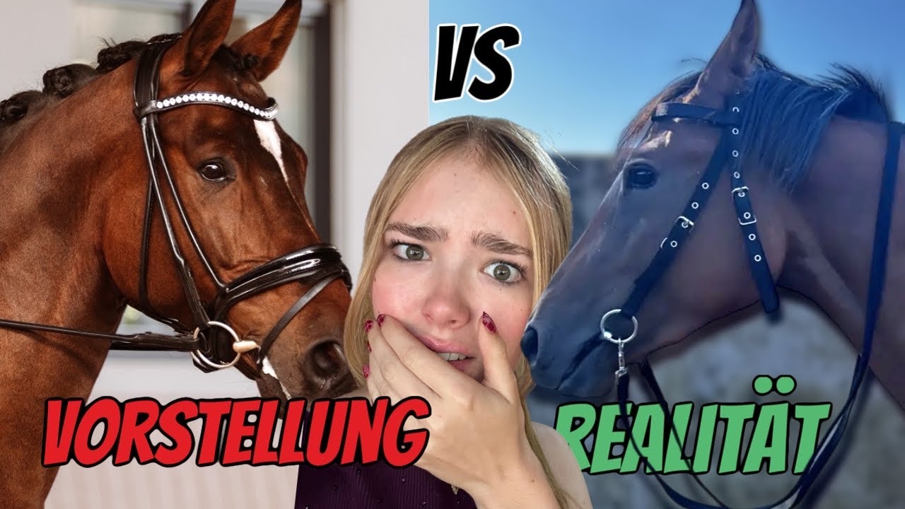 ICH HABE REITSACHEN BEI TEMU BESTELLT! 🫣 Schockierend😨