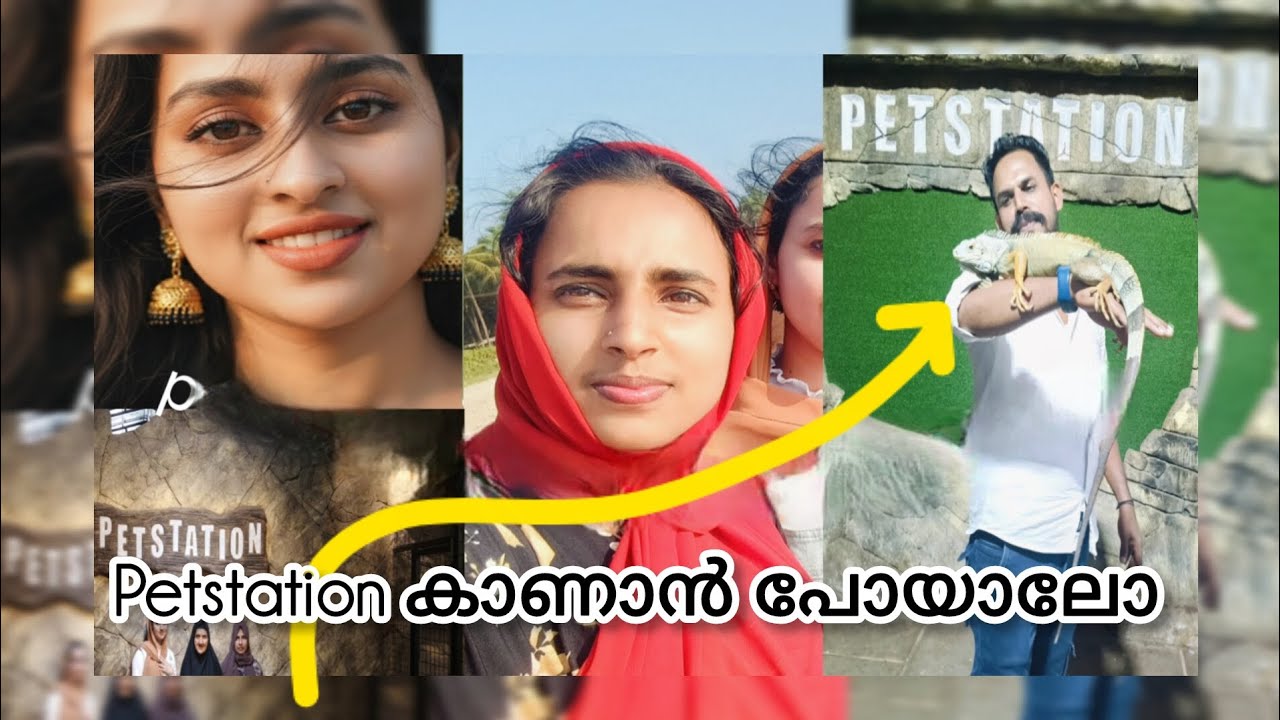 Petstation in matul Kannur | best pets collectionin Kerala | must visit place in Kannur