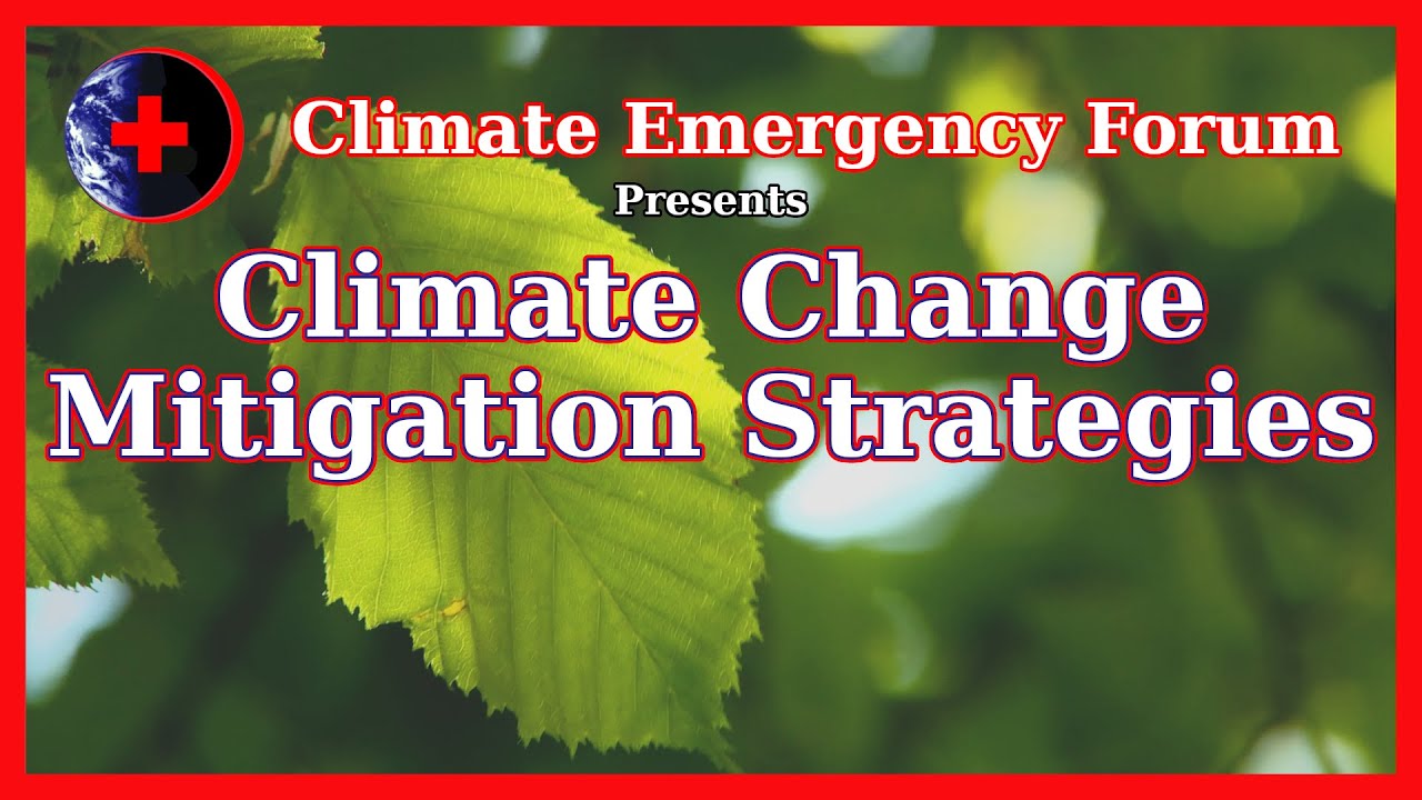 Climate Change Mitigation Strategies
