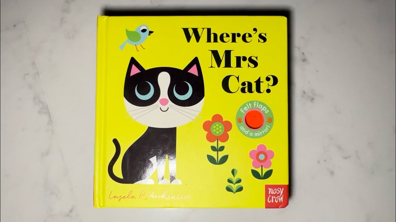 Where’s Mrs Cat book reading