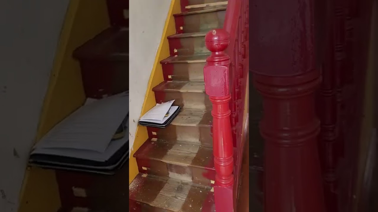 Why Free Damp Surveys Are a Waste of Time | What They Miss and Why You Should Pay for a Professional