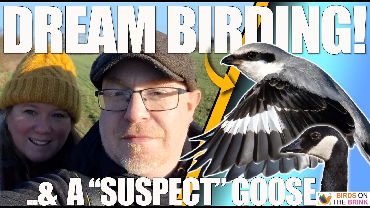 Dream Birding! Incredible Shrike Views &hellip; & a 