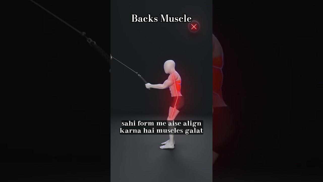 Backs Muscle right from 