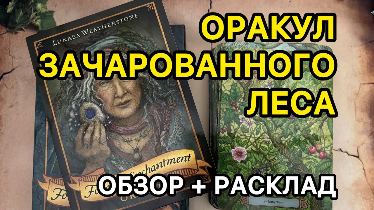 Оракул Зачарованного Леса. Обзор колоды + вытягиваю карту для зрителей🌿Forest of Enchantment Oracle