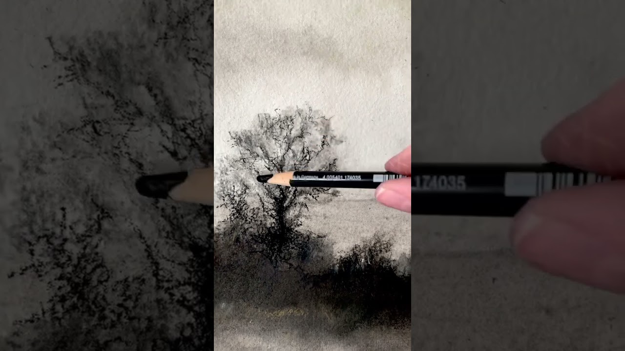 Drawing trees in a forest using charcoal pencil.   #charcoaldrawing #charcoal #sketch #process