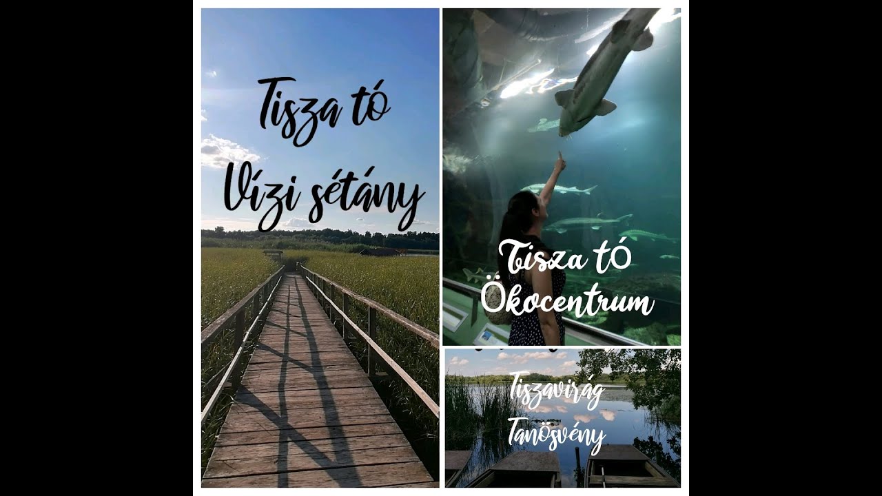 Tisza t&oacute; -  3 csod&aacute;s program a Tisza tavon: &Ouml;kocentrum, V&iacute;zis&eacute;t&aacute;ny Tiszavir&aacute;g Tan&ouml;sv&eacute;ny