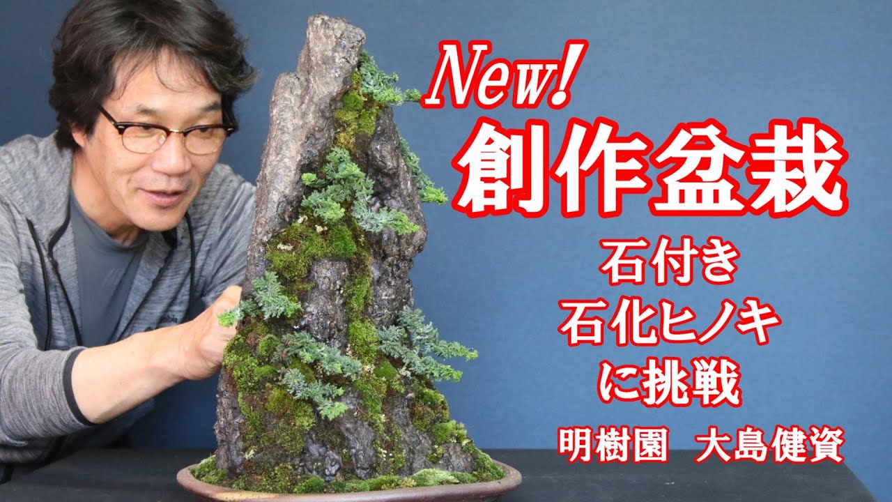 NEW【新創作盆栽】石付き石化ヒノキに挑戦/Challenge the 