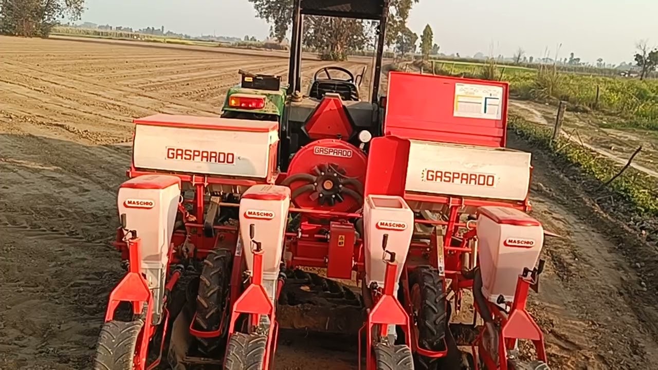 Spring corn Dekalb9248 sewing start #high yield variety Maize9248