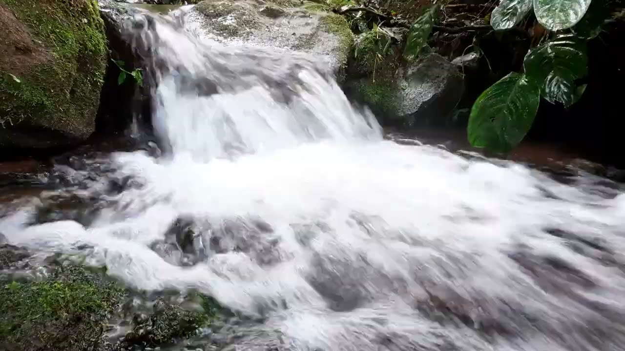 Som de Rio para Dormir em Minutos &mdash; River Sound to Sleep in Minutes