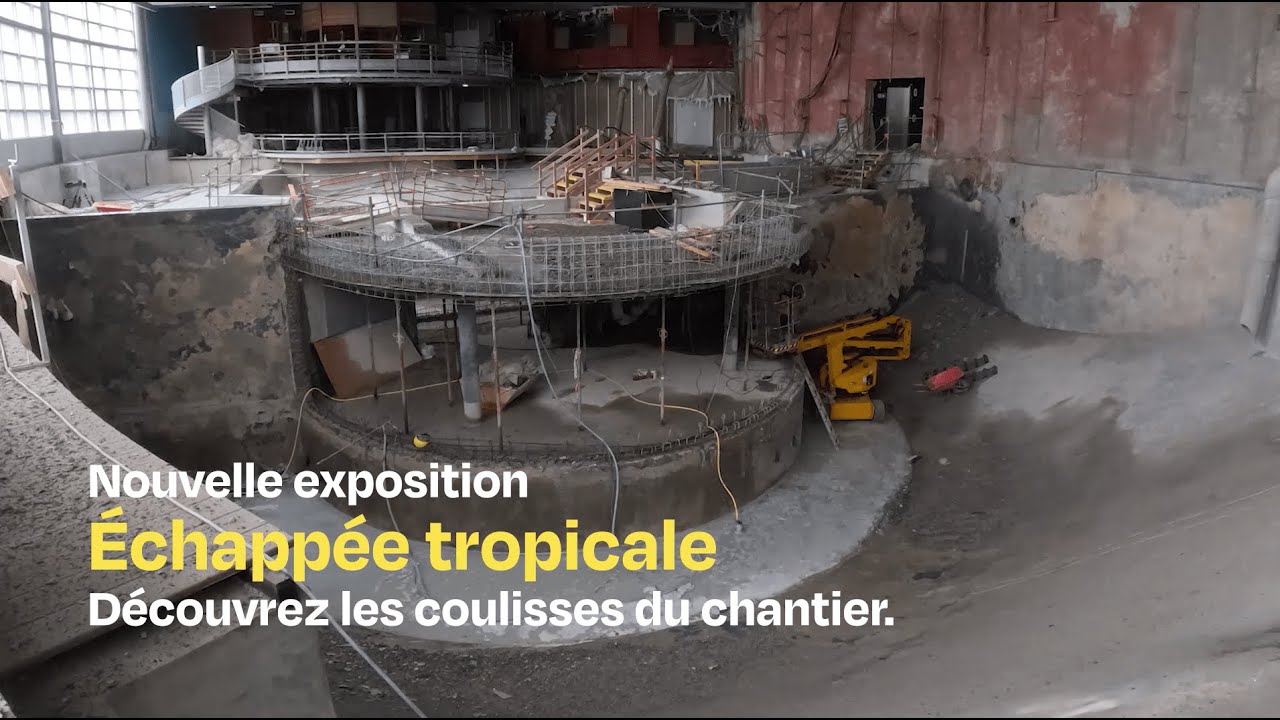 Nouvelle exposition Échappée tropicale : Découvrez les coulisses du chantier
