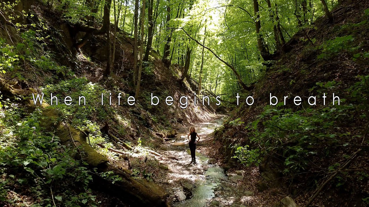 When life begins to breath - Medvednica - OSM Hiking
