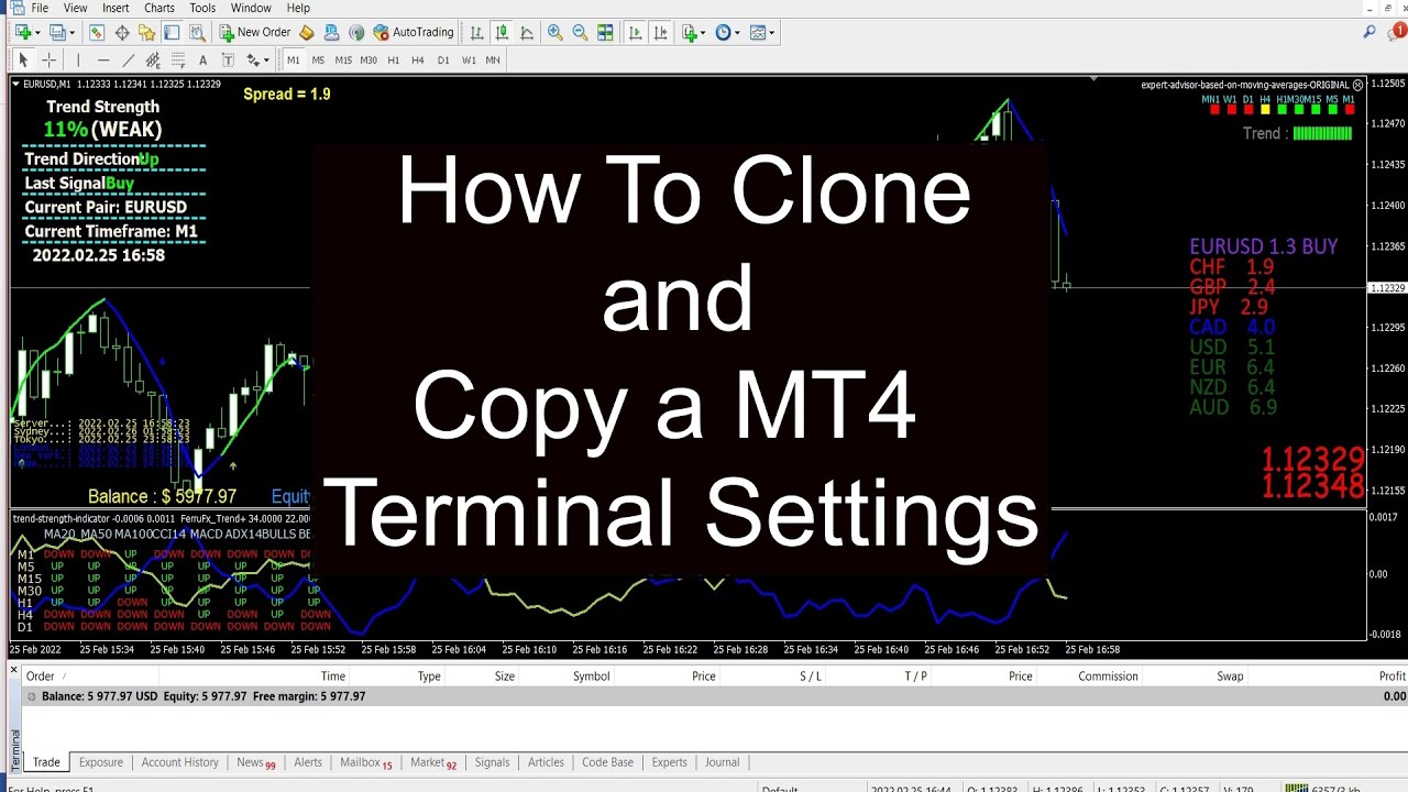 How To Clone and Copy a MT4 Terminal Settings