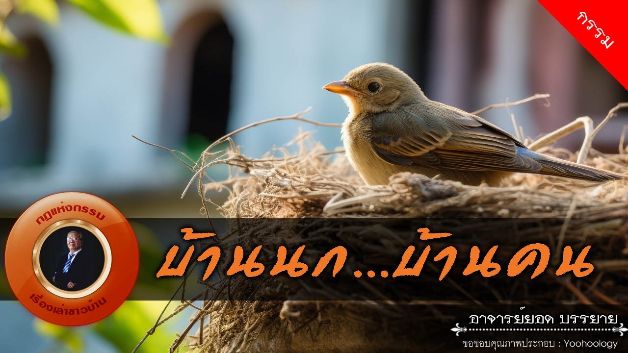 อาจารย์ยอด : บ้านนก...บ้านคน [กรรม]