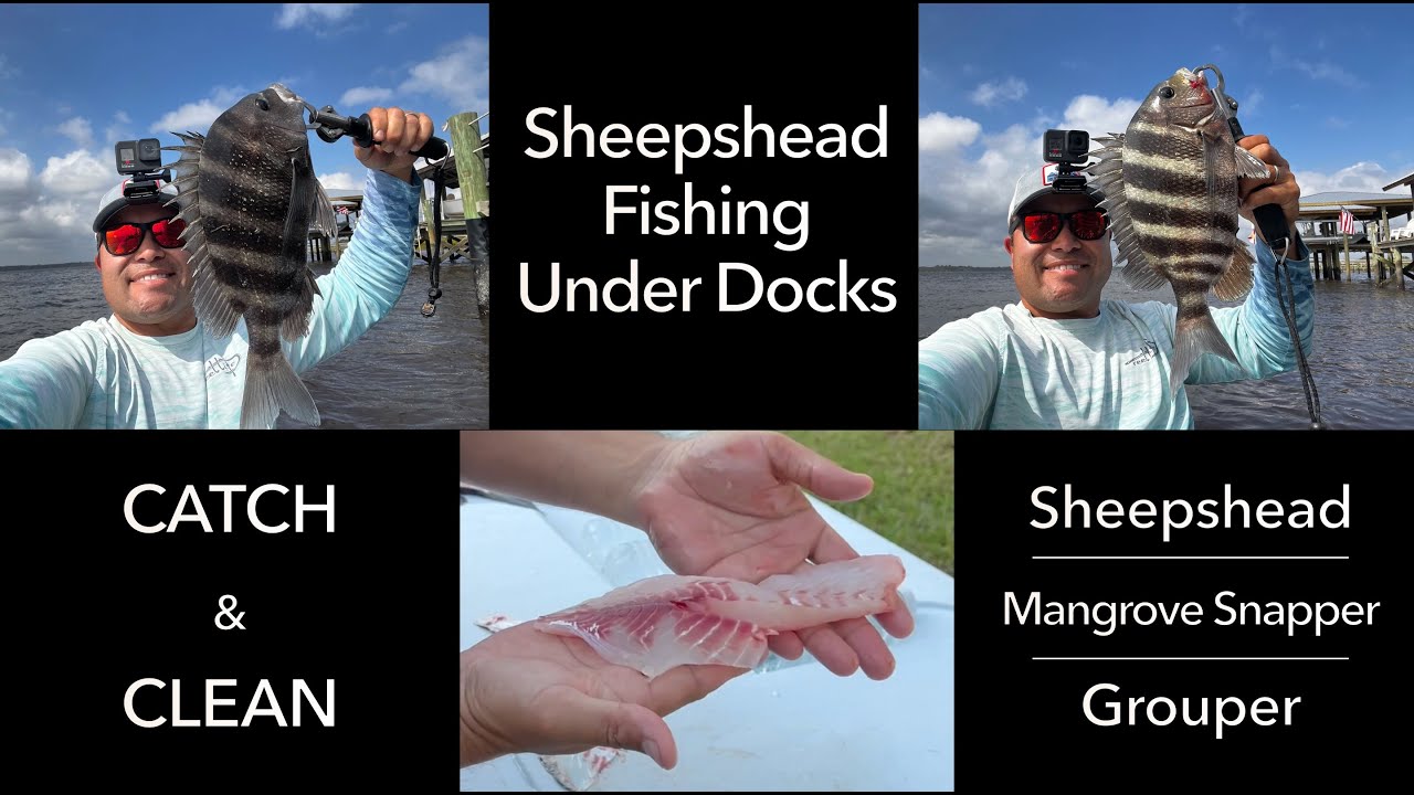 Fishing Under Docks for Sheepshead in St. Augustine, FL (CATCH & CLEAN)
